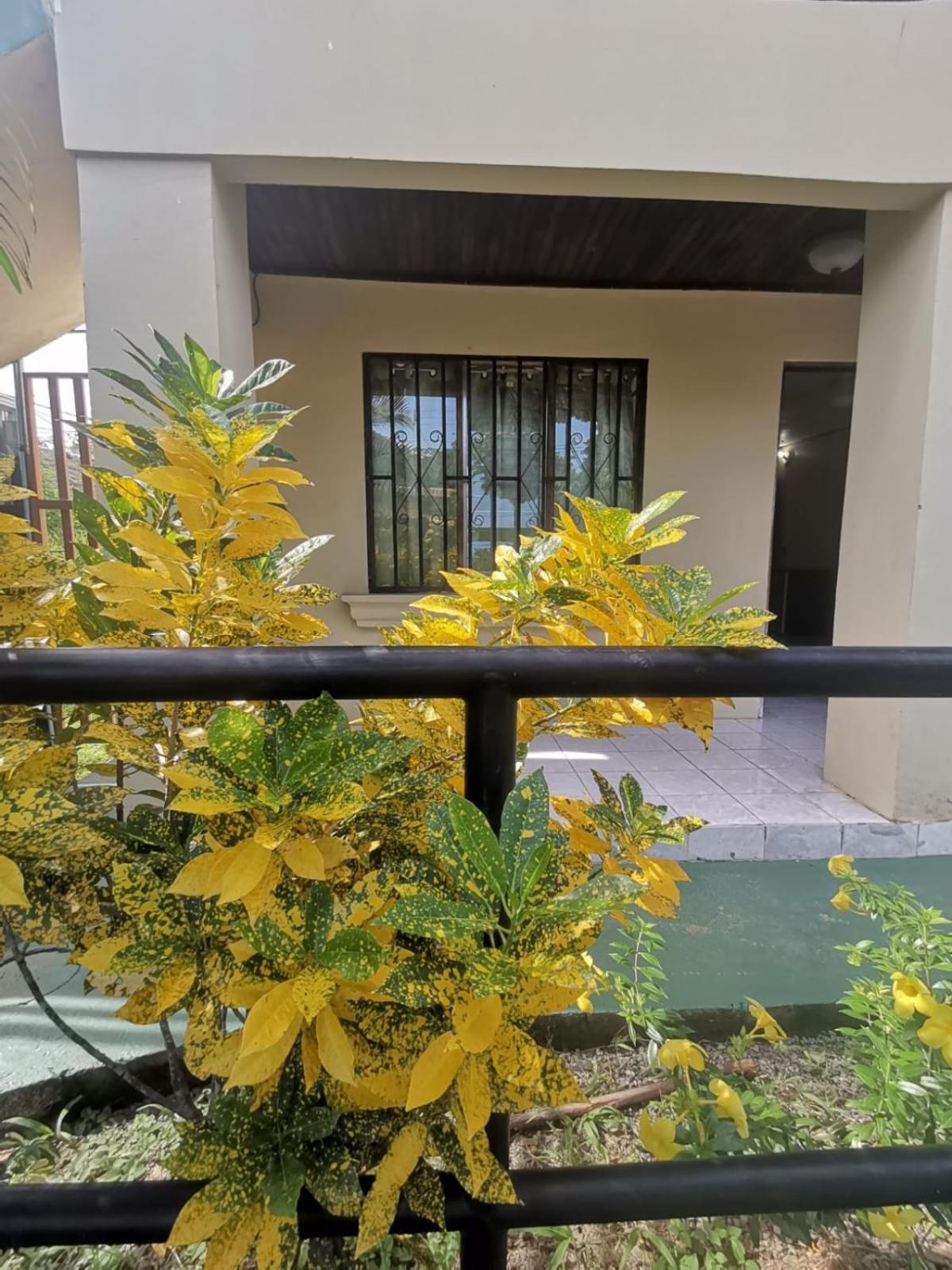 Hotel Apartamentos Herradura #7,#9 Puntarenas Eksteriør billede